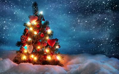 Андрей Прилуцкий поздравил рязанцев с Новым 2017 годом и Рождеством Христовым